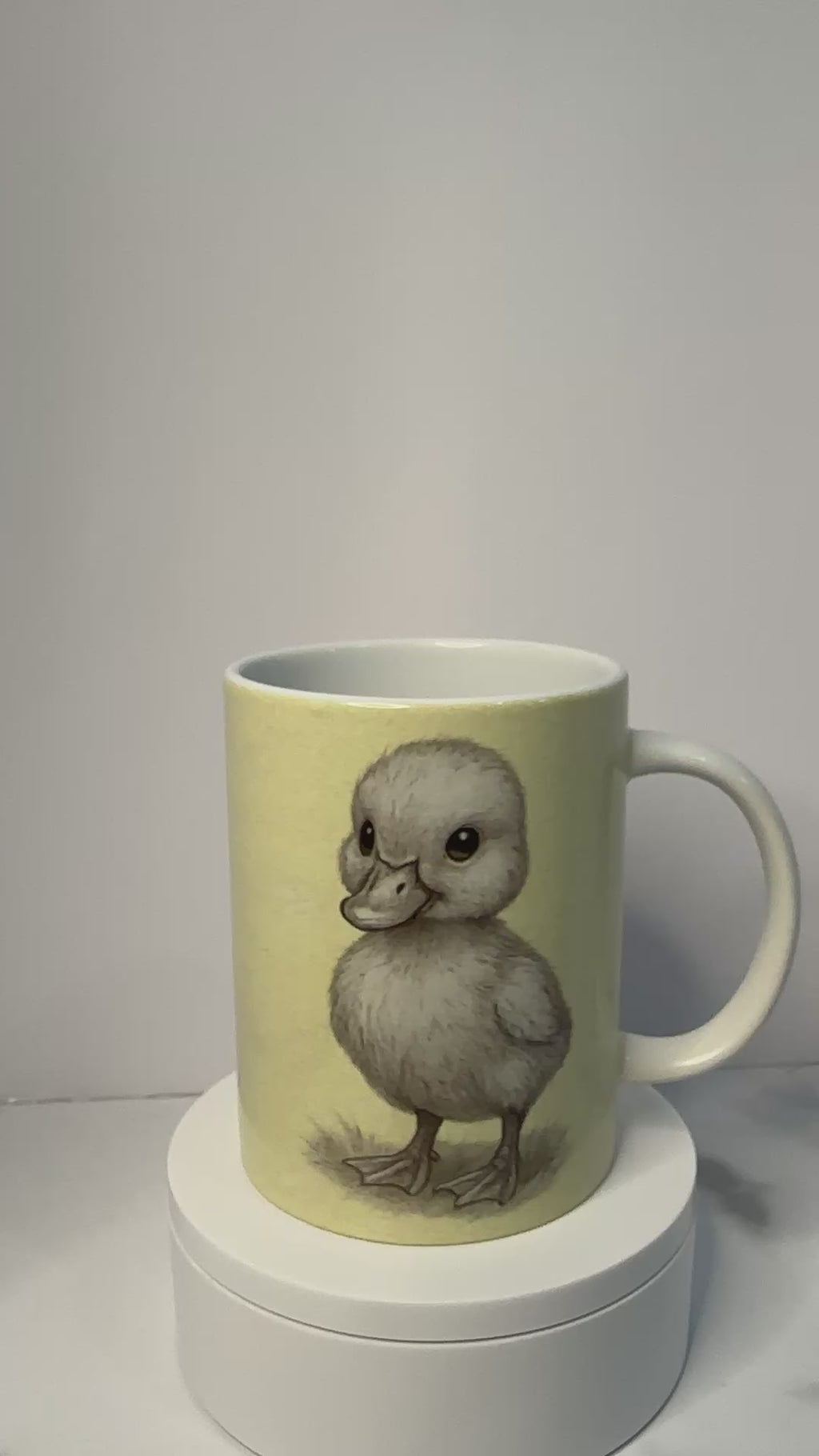 Sweet Farmhouse Duckling & Daisy – 15 oz Ceramic Mug
